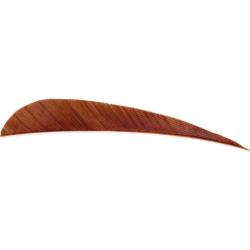 AVALON - Plumes Naturelles Paraboliques 3" RH (x50) MARRON