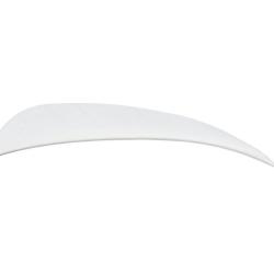 AVALON - Plumes Naturelles Paraboliques 4" RH (x50) BLANC