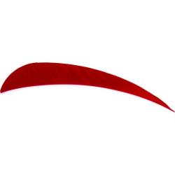 AVALON - Plumes Naturelles Paraboliques 4" RH (x50) ROUGE