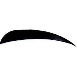 AVALON - Plumes Naturelles Paraboliques 4" RH (x50) NOIR