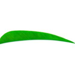 AVALON - Plumes Naturelles Paraboliques 4" RH (x50) VERT