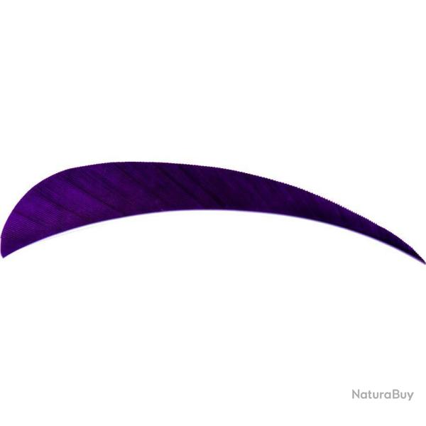AVALON - Plumes Naturelles Paraboliques 4" RH (x50) VIOLET