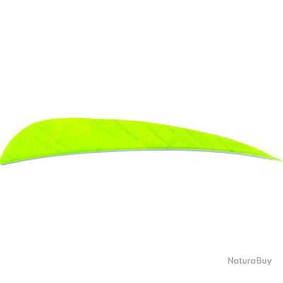 100 Plumes De Flèche 4 Pouces - Vert Forêt, Aile Droite, Parabole
