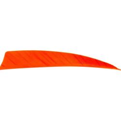 AVALON - Plumes Naturelles Shield 4" RH (x50) ORANGE