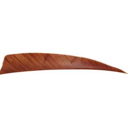 AVALON - Plumes Naturelles Shield 4" RH (x50) MARRON