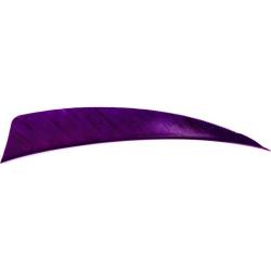 AVALON - Plumes Naturelles Shield 4" RH (x50) VIOLET