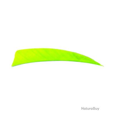 100 Plumes Gateway Pour Empennage - Aile Droite 4 Chartreuse Green