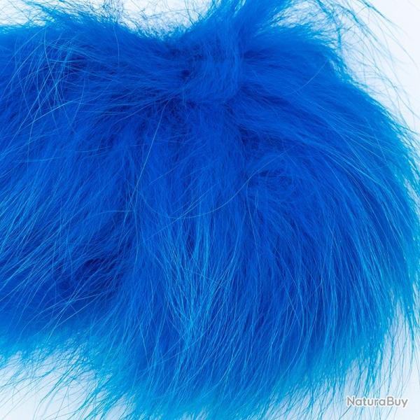 Renard arctique bleu