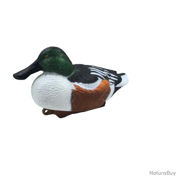 Appelant Souchet m�le HD 37 x 18cm