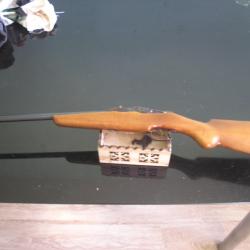 carabine 14mm varnant