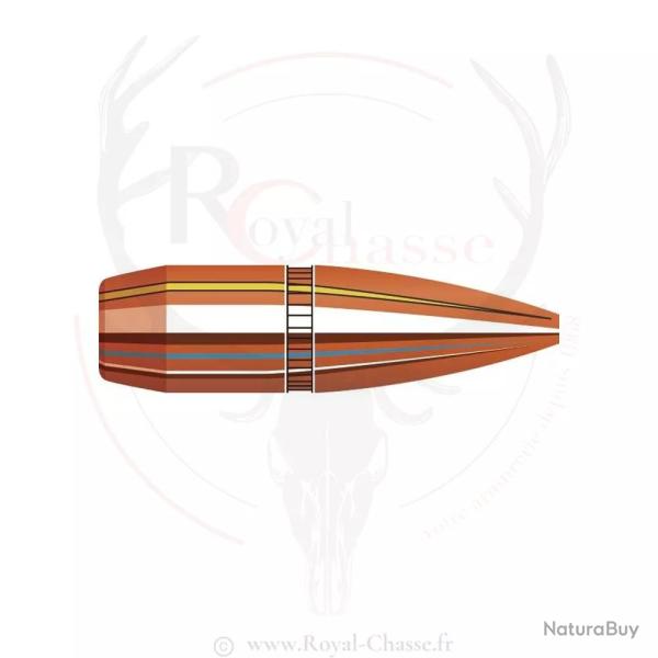 100 ogives Cal.270 D.277 110Grs BTHP CANNELEE HORNADY
