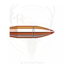 100 ogives Cal.30 D.308 160Grs FTX HORNADY