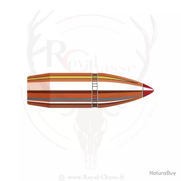 100 ogives Cal.30 D.308 160Grs FTX HORNADY