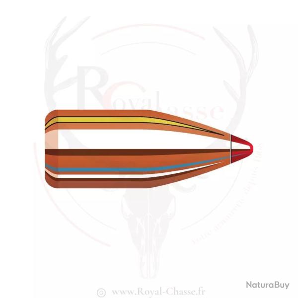 100 ogives Cal.35 D.355 165Grs FTX HORNADY