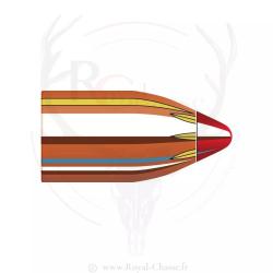 50 ogives Cal.45 D.452 250Grs FTX HORNADY