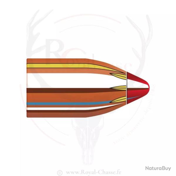 50 ogives Cal.45 D.452 250Grs FTX HORNADY