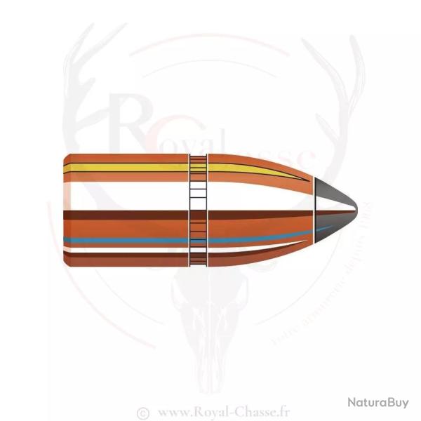 50 ogives Cal.405 D.411 300Grs INTERLOCK SP HORNADY
