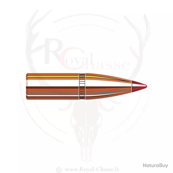 100 ogives Cal.6mm D.243 95Grs SST HORNADY