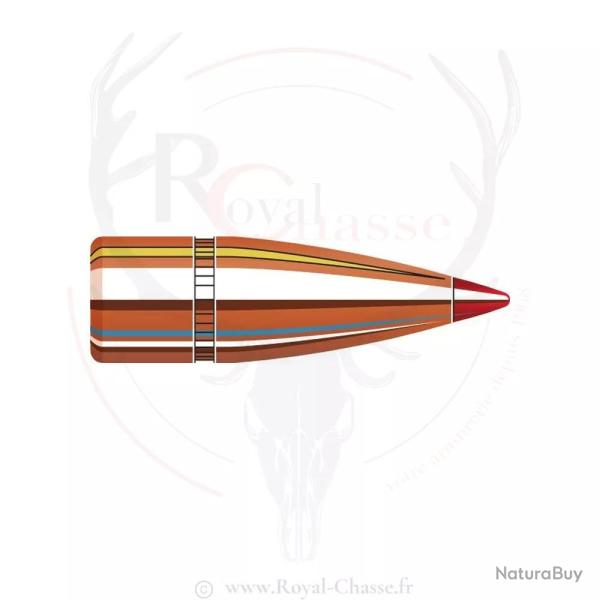 100 ogives Cal.30 D.308 125Grs SST HORNADY