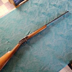 Carabine buffalo 6mm