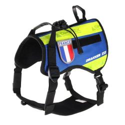 DIMATEX Harnais Drakken 3 Medium Blue