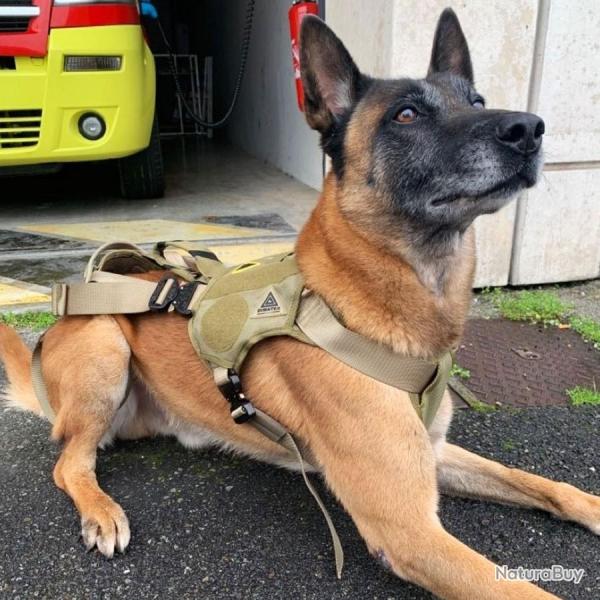 DIMATEX Harnais Treuillable Salvatex Coyote