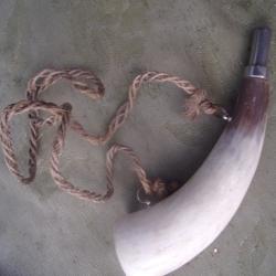 corne d'appel 25,2 cm