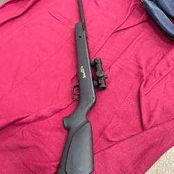 Carabine, GAMO, zombie