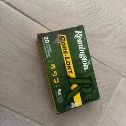 Munitions pour carabine