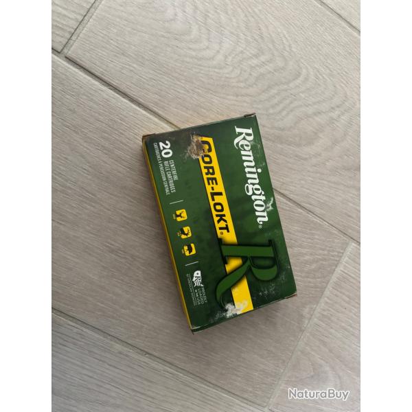 Munitions pour carabine