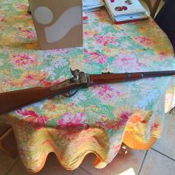 Carabine pedersoli 45/70 parfait etat
