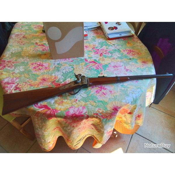 Carabine pedersoli 45/70 parfait etat