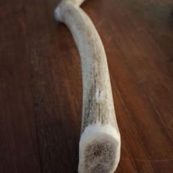 Bois de Daim XL (environ 20 cm)