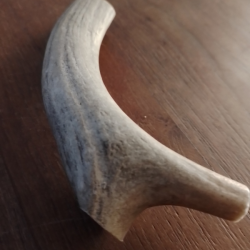 Bois de Daim S (environ 10 cm)