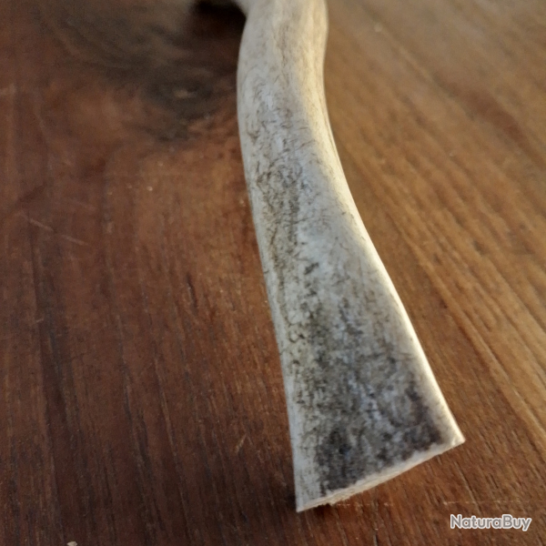 Bois de Daim L (environ 15 cm)