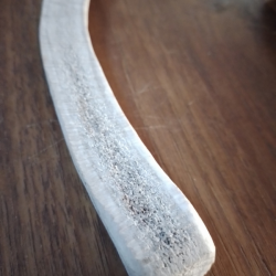 Bois de Cerf coup&eacute; XL (environ 20 cm)