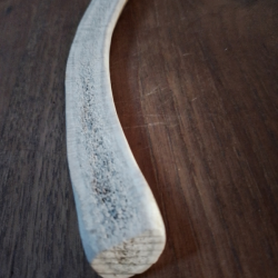 Bois de Cerf coup&eacute; L (environ 15 cm)