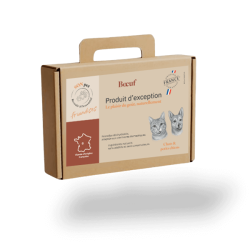 Friandise Boeuf Pack 200g