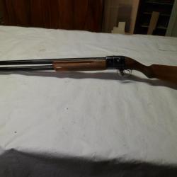 BABY BRETTON CALIBRE 12