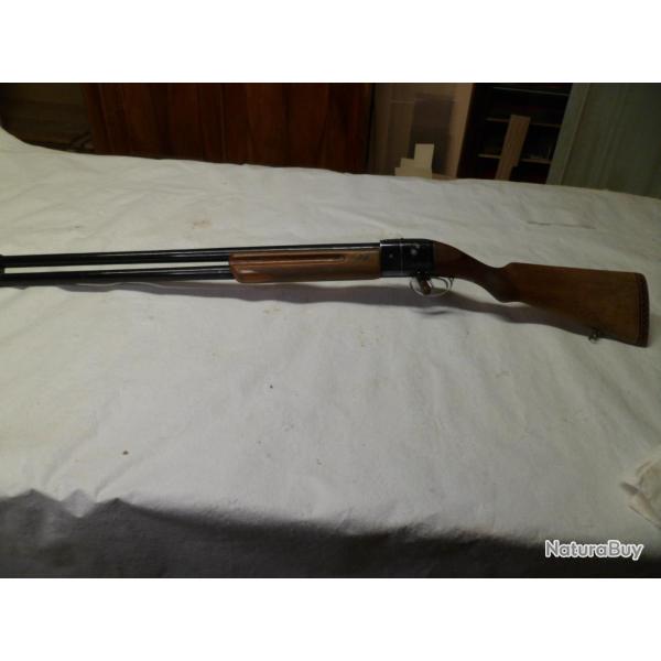 BABY BRETTON CALIBRE 12