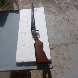 Baikal coach gun canon 51 etat neuf