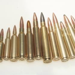 Collection de 13 cartouches  de gros calibres port gratuit !