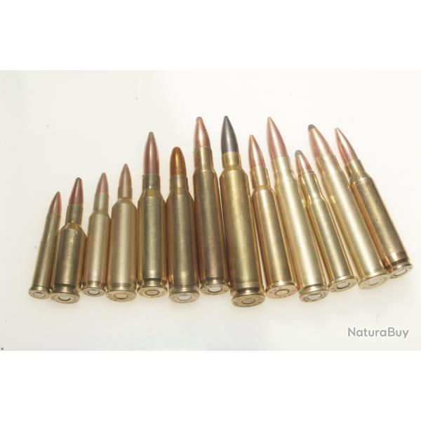 Collection de 13 cartouches  de gros calibres port gratuit !