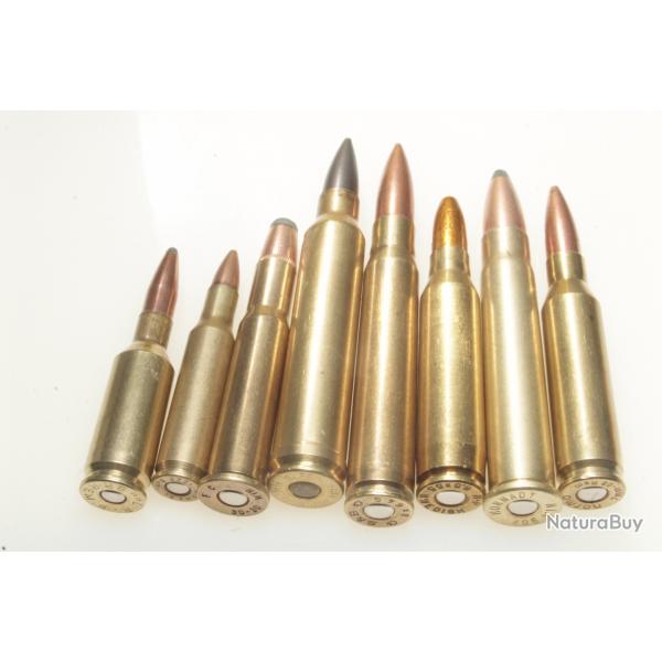 Collection de 8 cartouches  de gros calibres port gratuit !