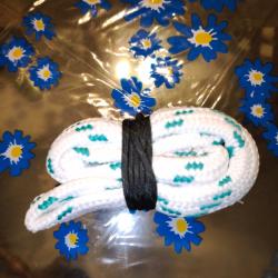 Cardon de nettoyage calibre 12