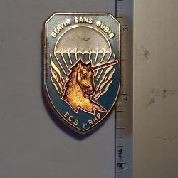 Insigne de l'escadron commandement et services (ECS) du 1er RHP