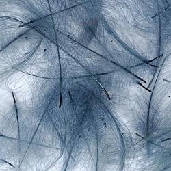 Cul de canard PETITJEAN 1gr n&deg;1 blue dun