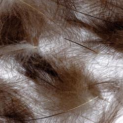 Cul de canard PETITJEAN 1gr n&deg;16 bistre