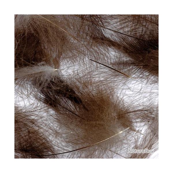 Cul de canard PETITJEAN 1gr n�16 bistre