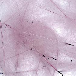 Cul de canard PETITJEAN 1gr n&deg;2 mauve